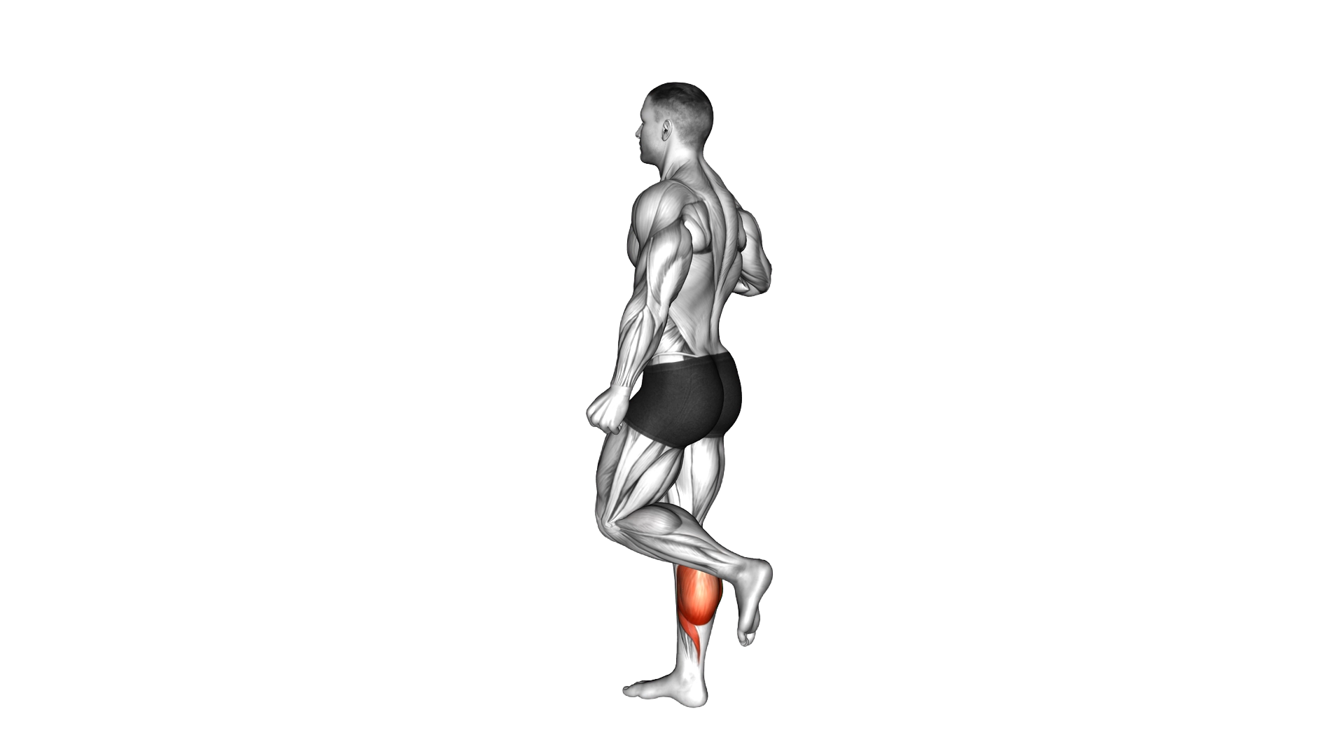 One Leg Floor Calf Raise exercise demonstration