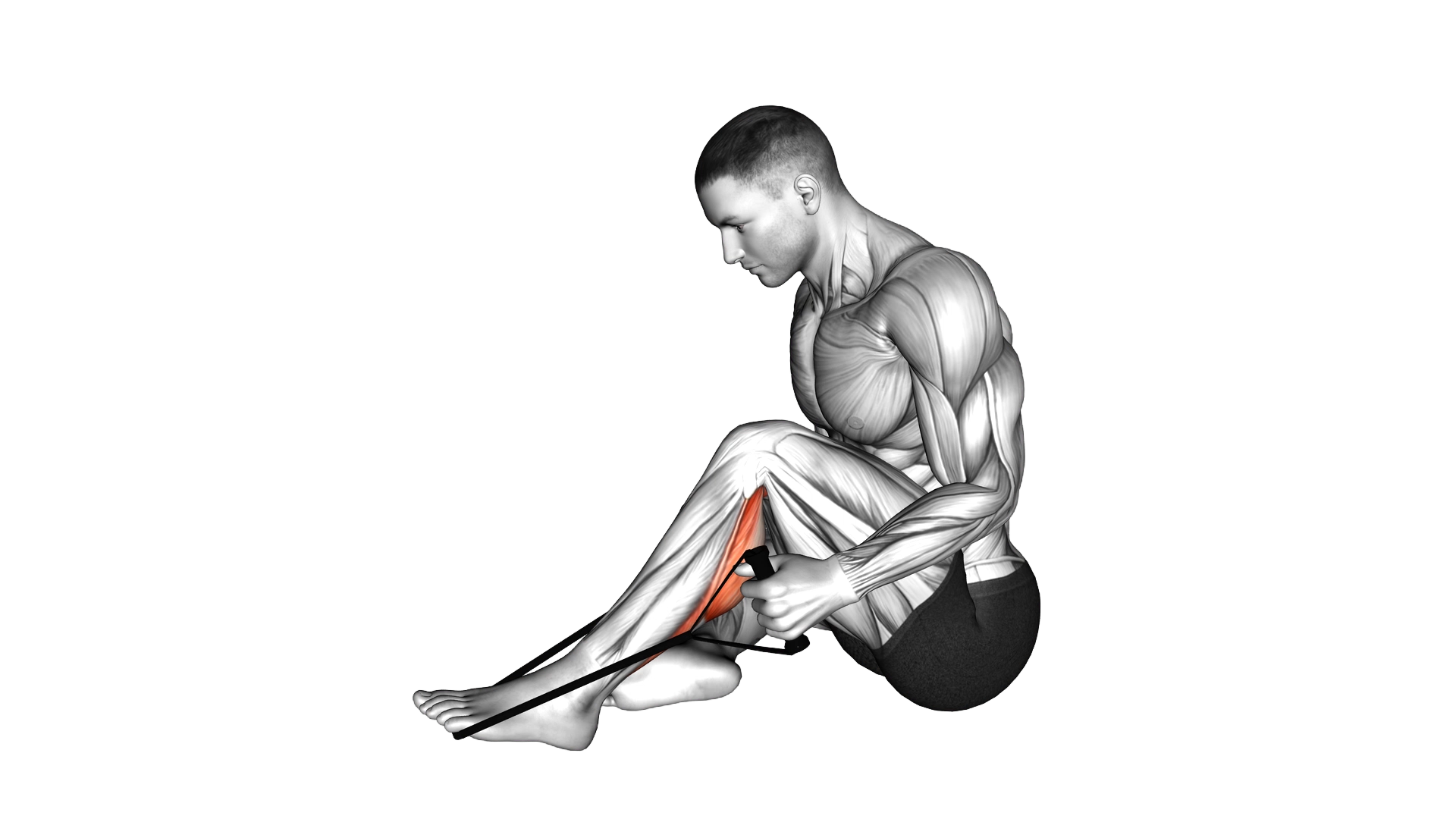 Peroneals Stretch exercise demonstration