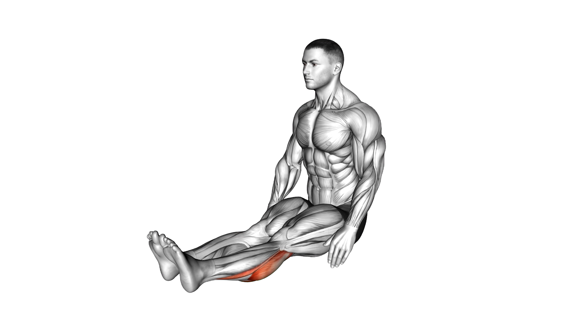 Seated Calf Stretch exercise demonstration