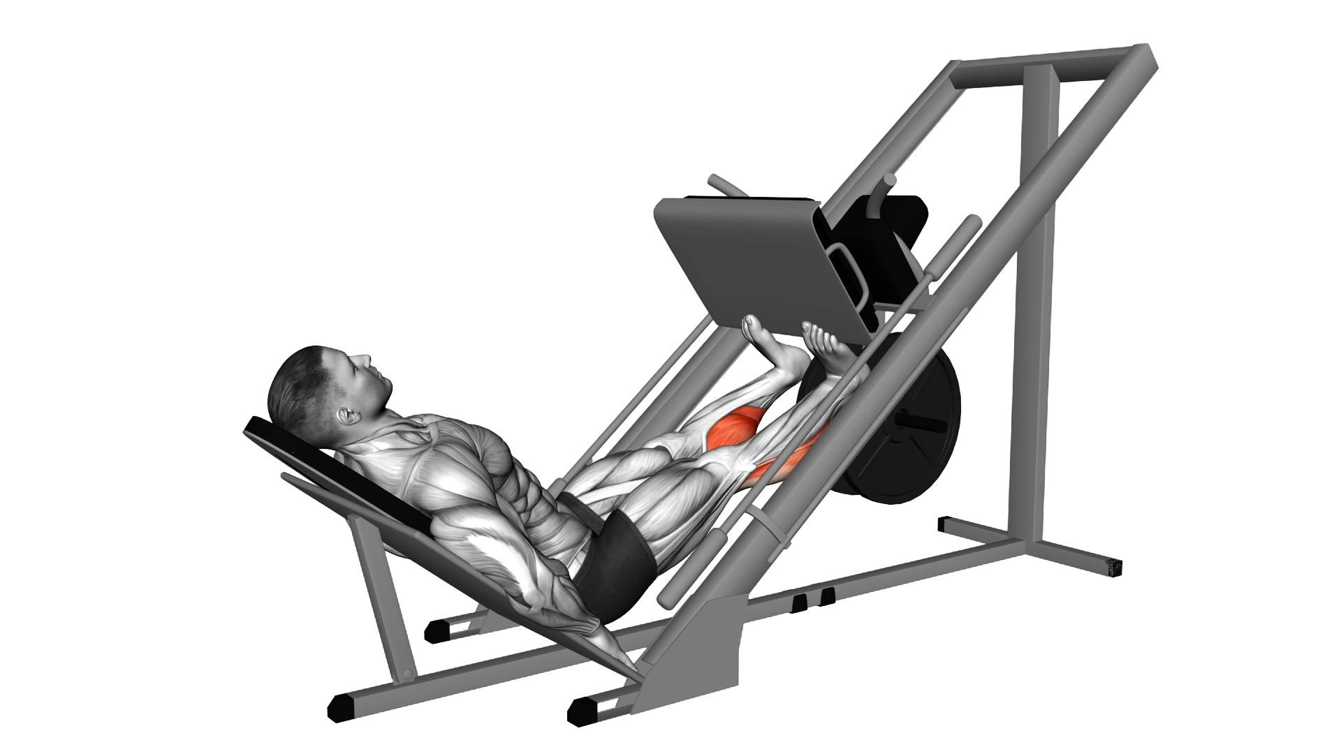 Sled Calf Press On Leg Press exercise demonstration