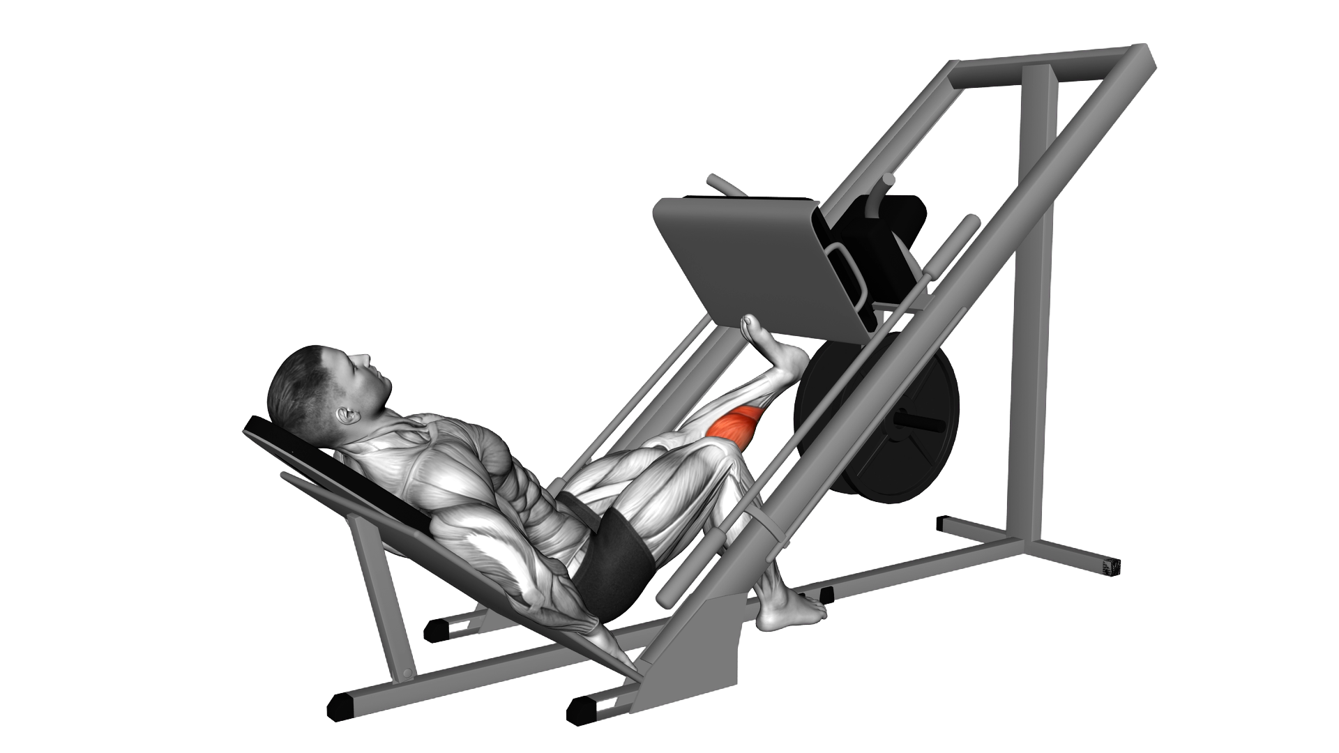 Sled One Leg Calf Press on Leg Press exercise demonstration