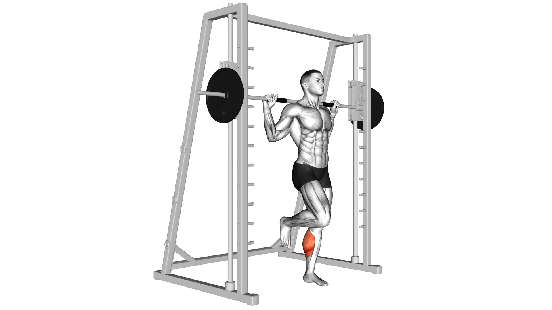 Smith One Leg Floor Calf Raise exercise demonstration