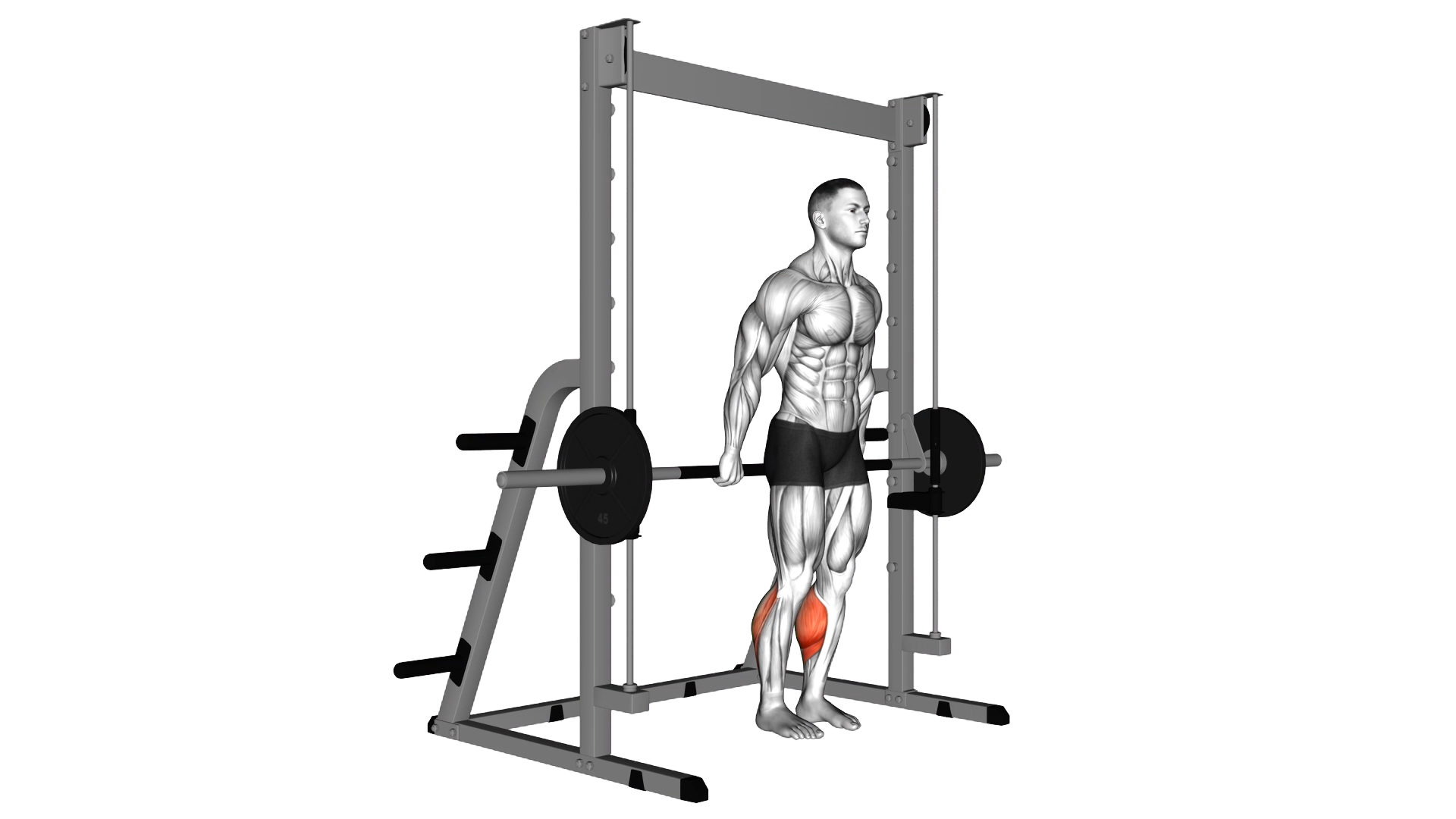 Smith Reverse Calf Raises exercise demonstration