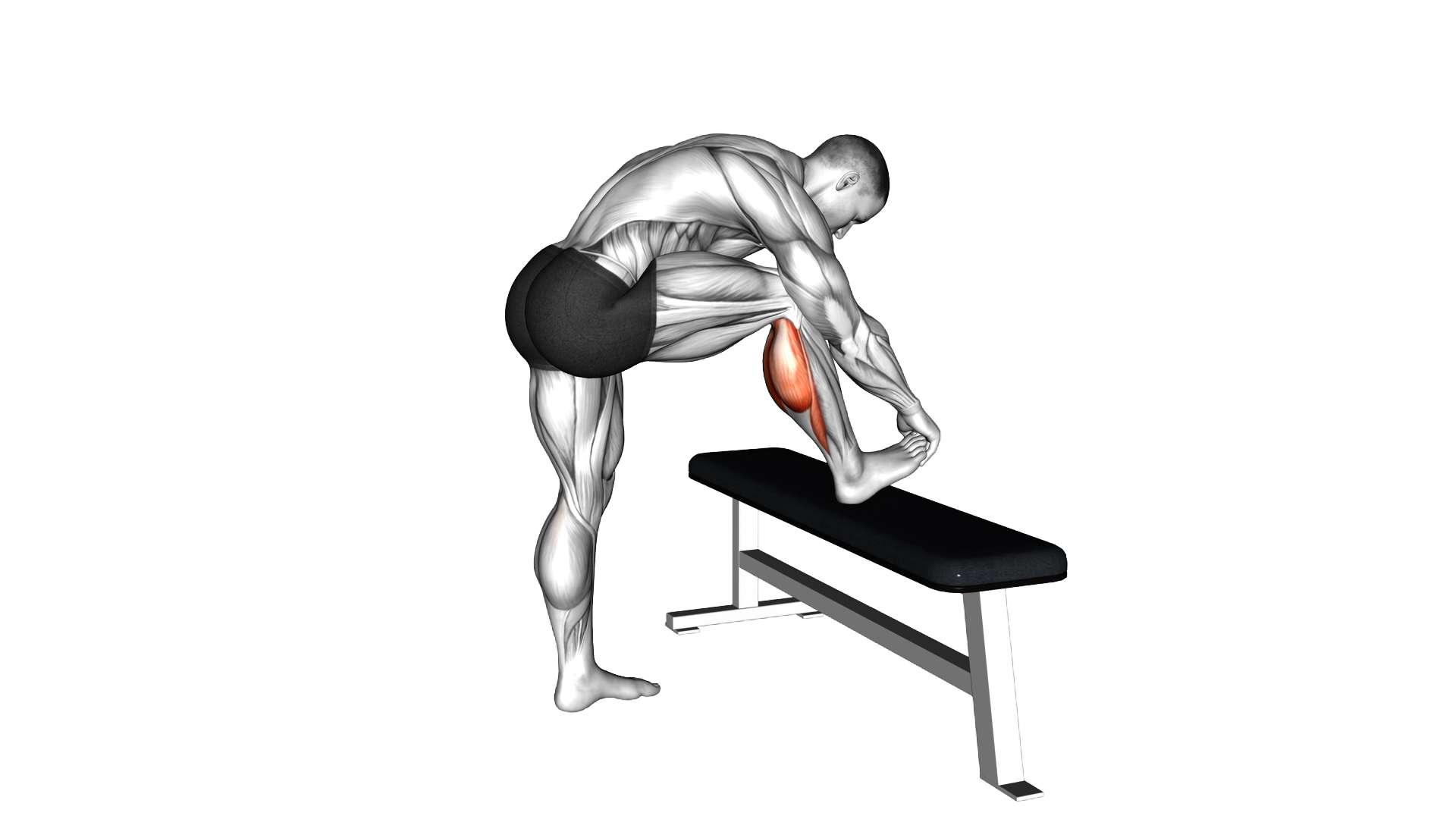 Standing Gastrocnemius Calf Stretch exercise demonstration