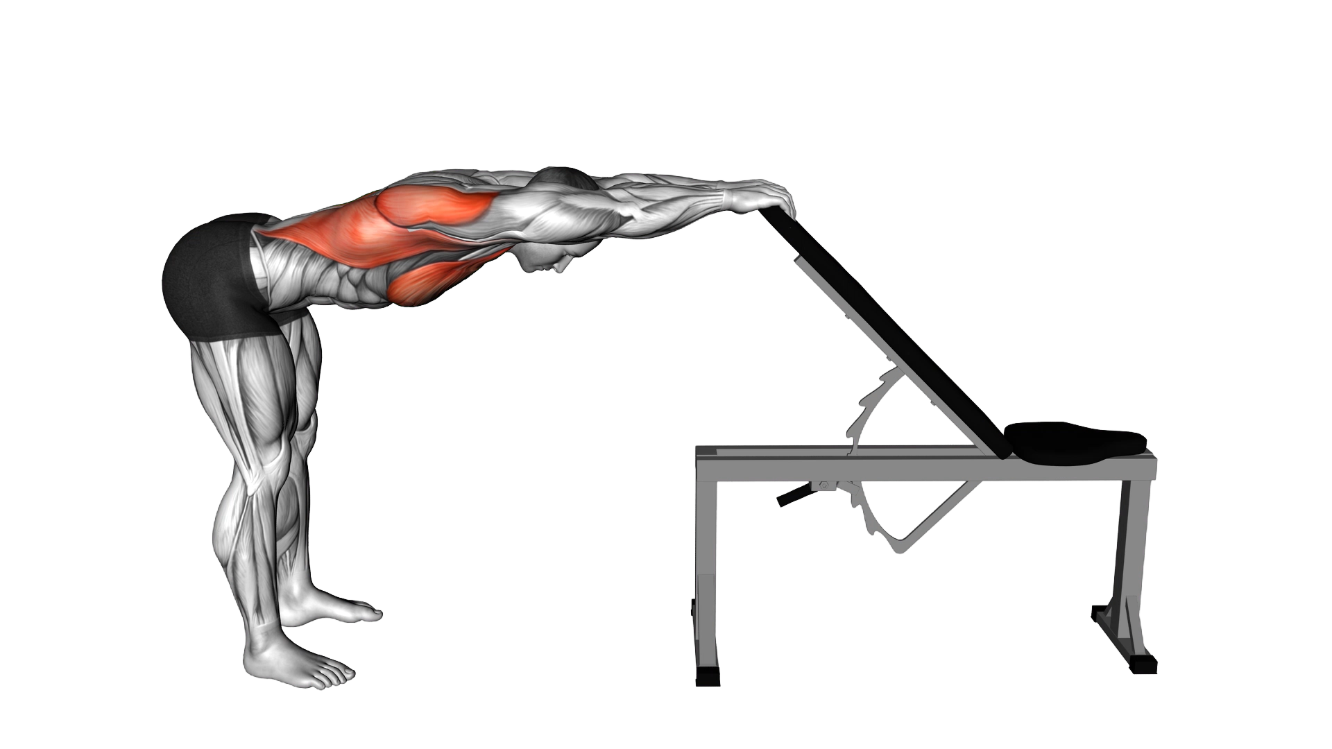 Back Pec Stretch exercise demonstration