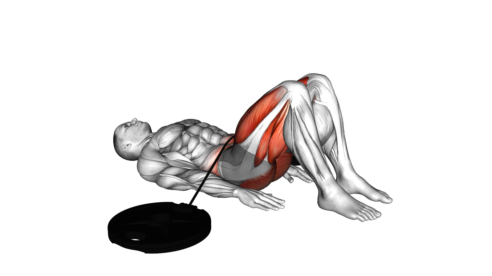 Band Hip Lift exercise demonstration