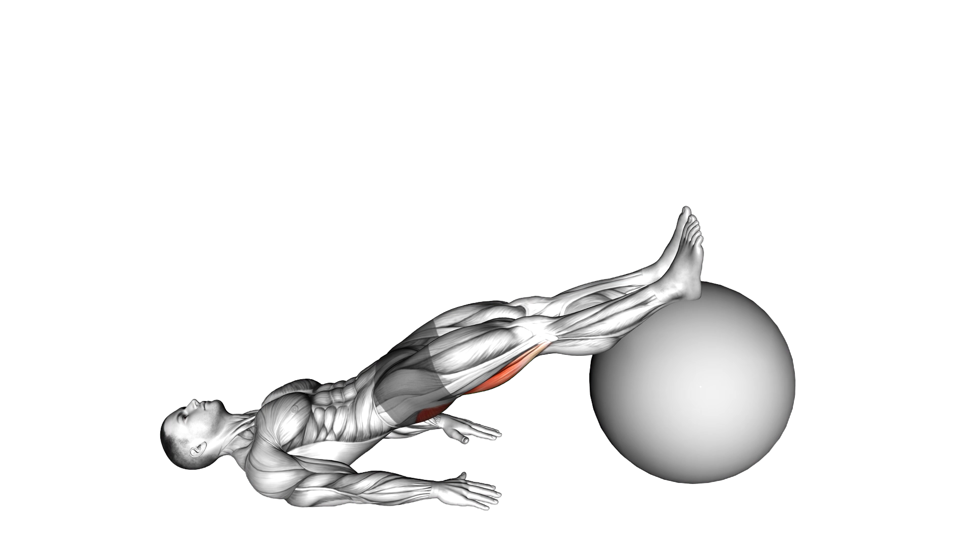 Exercise Ball One Legged Diagonal Kick Hamstring C exercise demonstration
