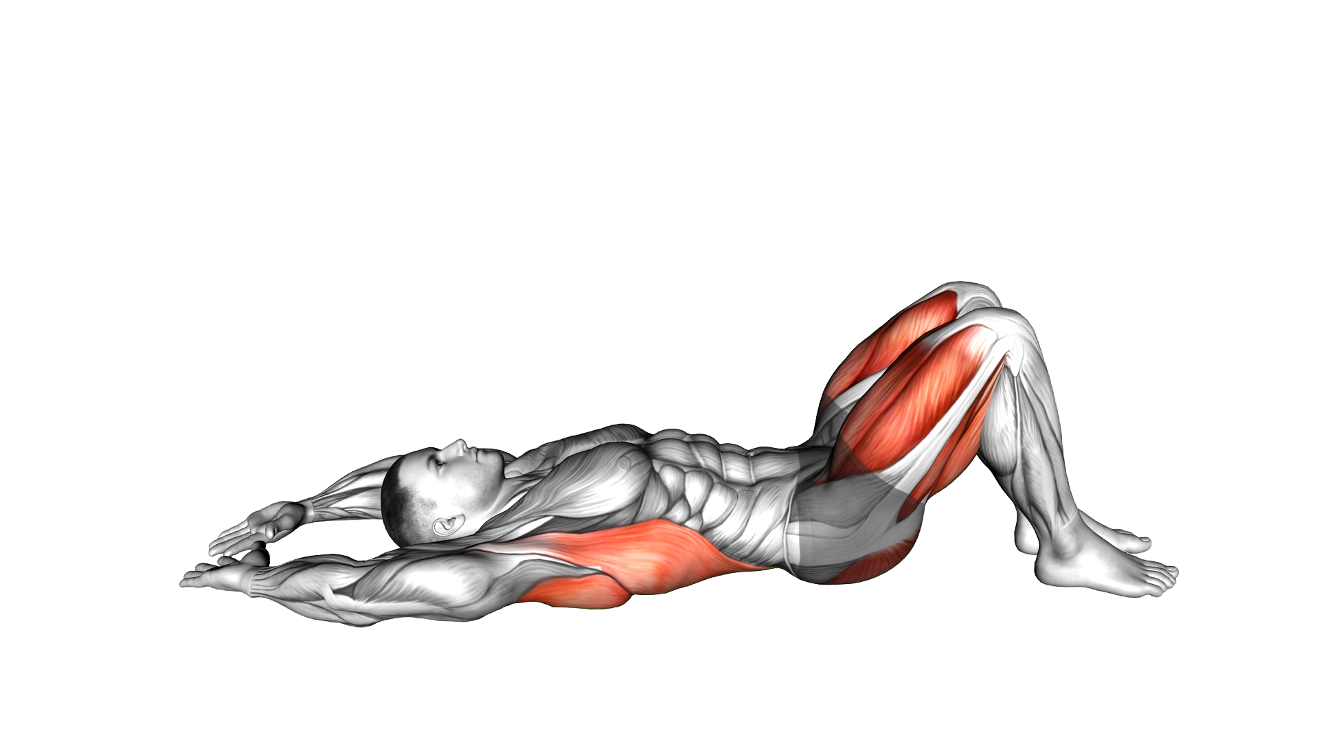 Pelvic Tilt Into Bridge exercise demonstration