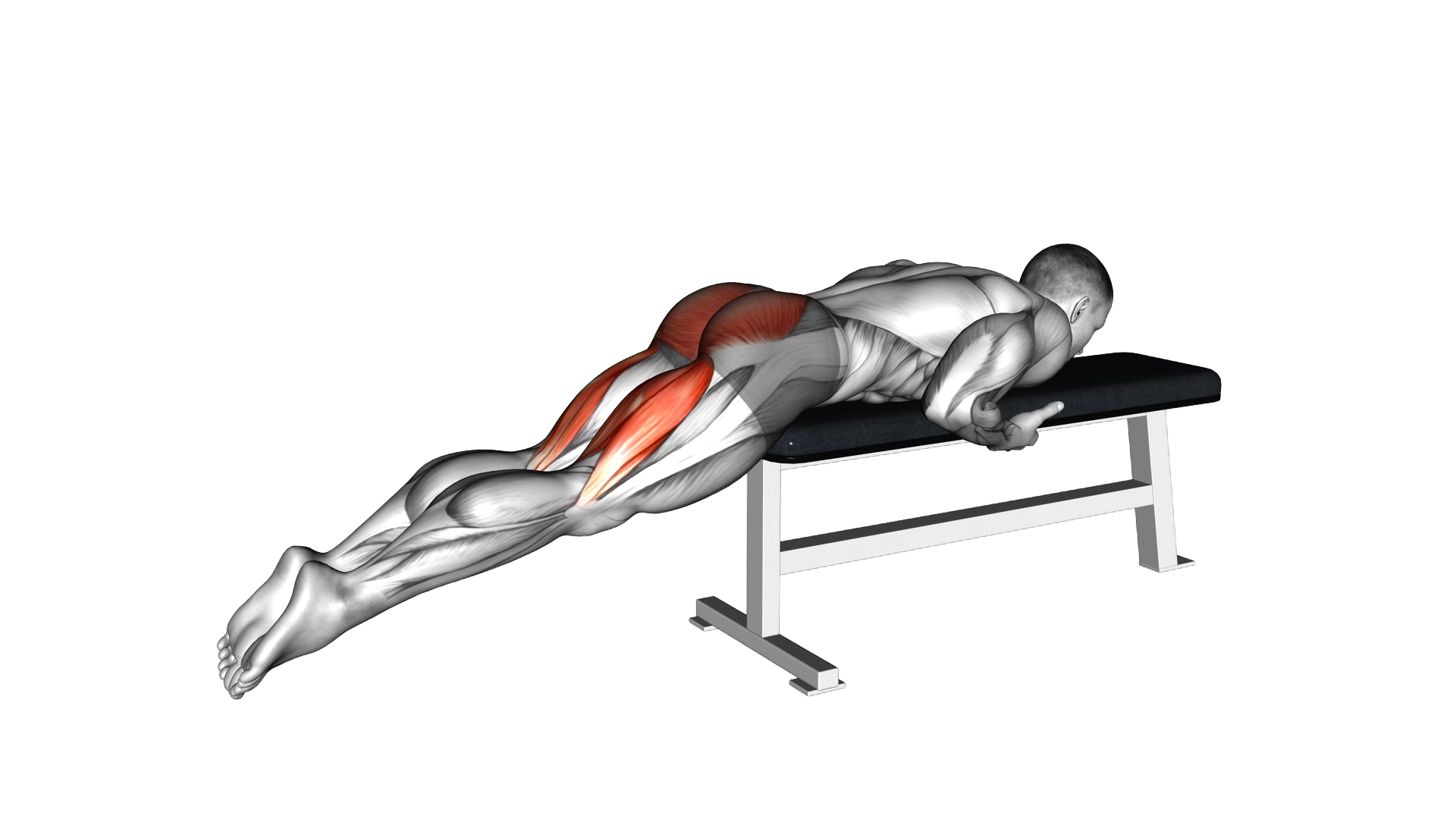 Reverse Hyper on Flat Bench exercise demonstration