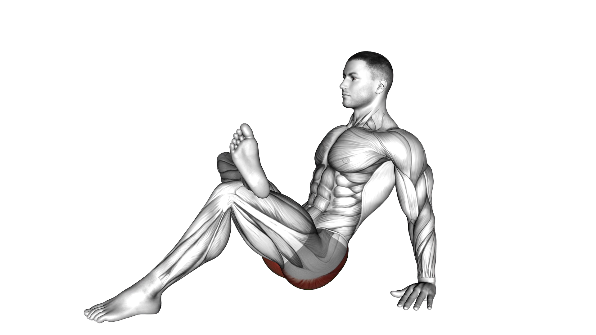 Seated Glute Stretch exercise demonstration