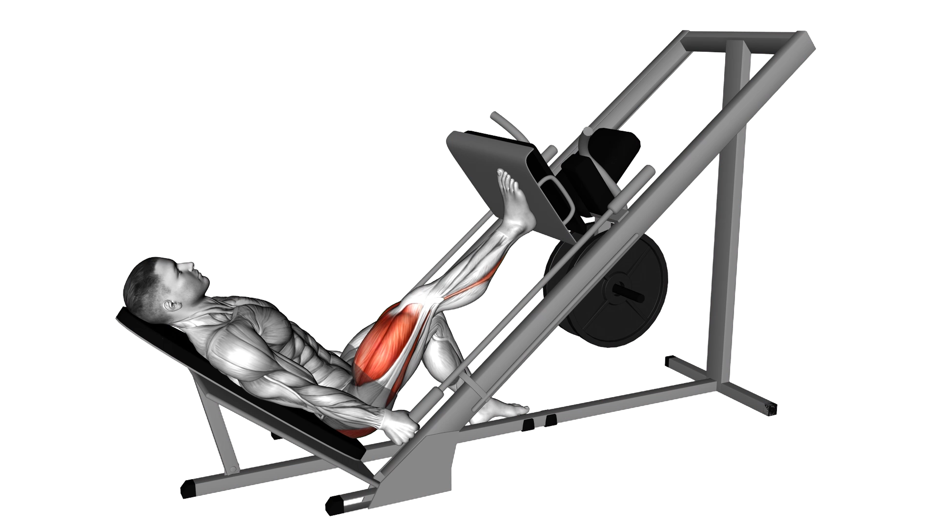 Sled 45 degrees One Leg Press exercise demonstration