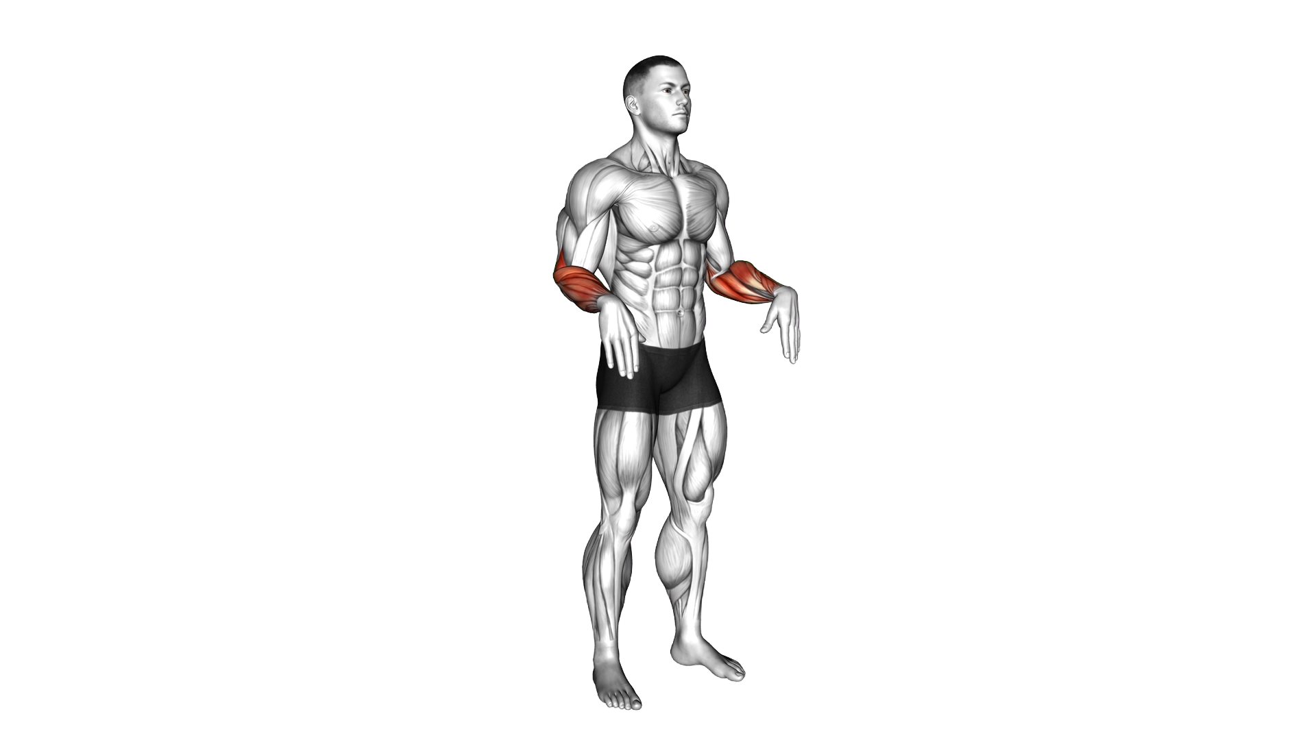 Wrist Circles exercise demonstration