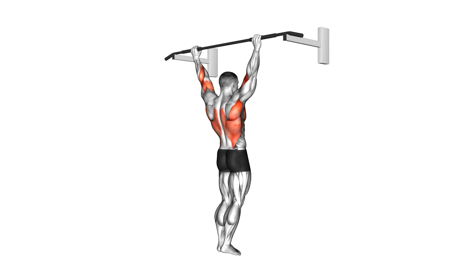 Wide Grip Pull Up exercise demonstration