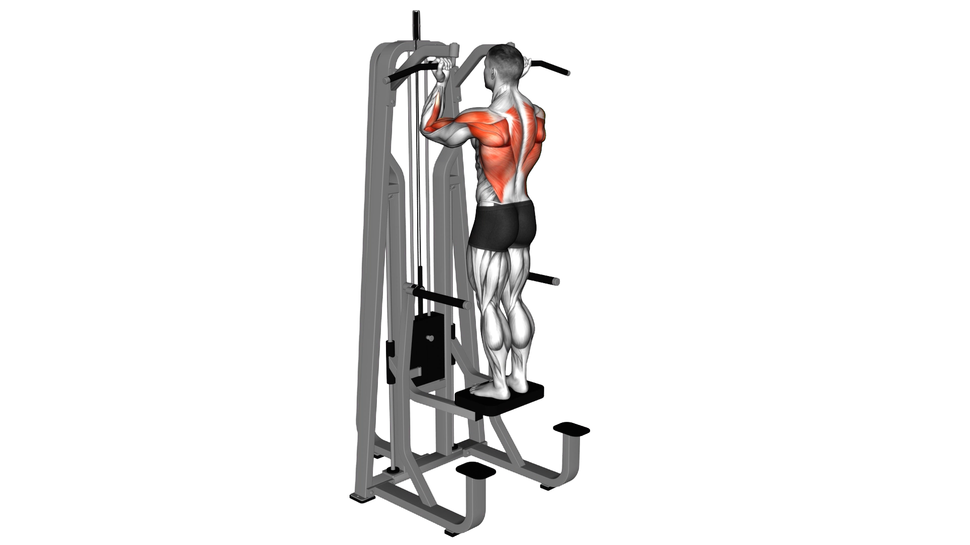 Lever Assisted Standing Chin Up exercise demonstration