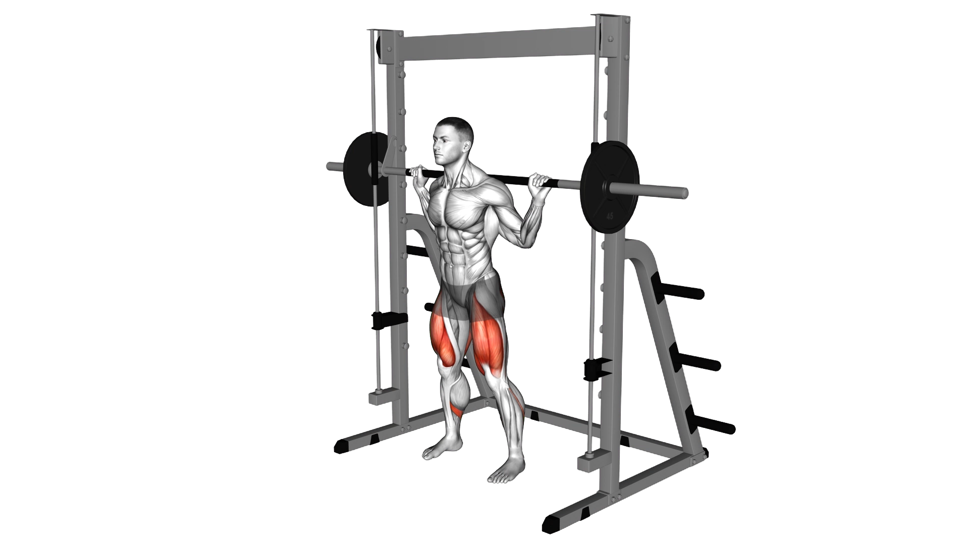Smith Low Bar Squat exercise demonstration