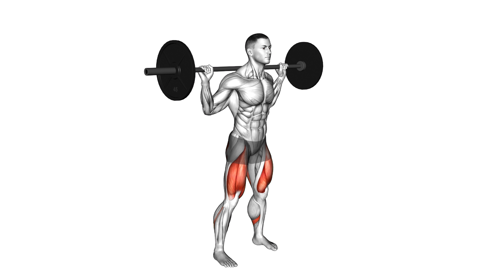 Barbell High Bar Squat exercise demonstration