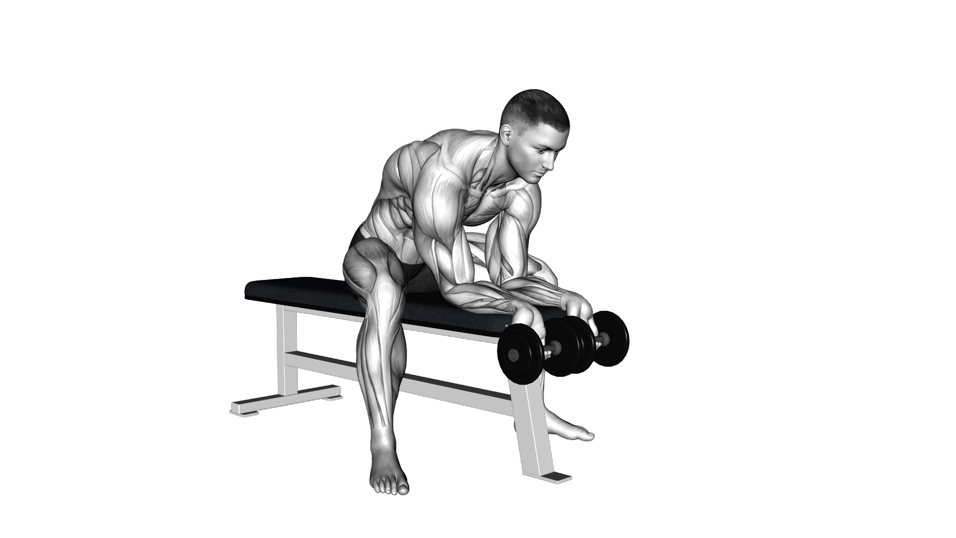 Dumbbell Finger Curls exercise demonstration