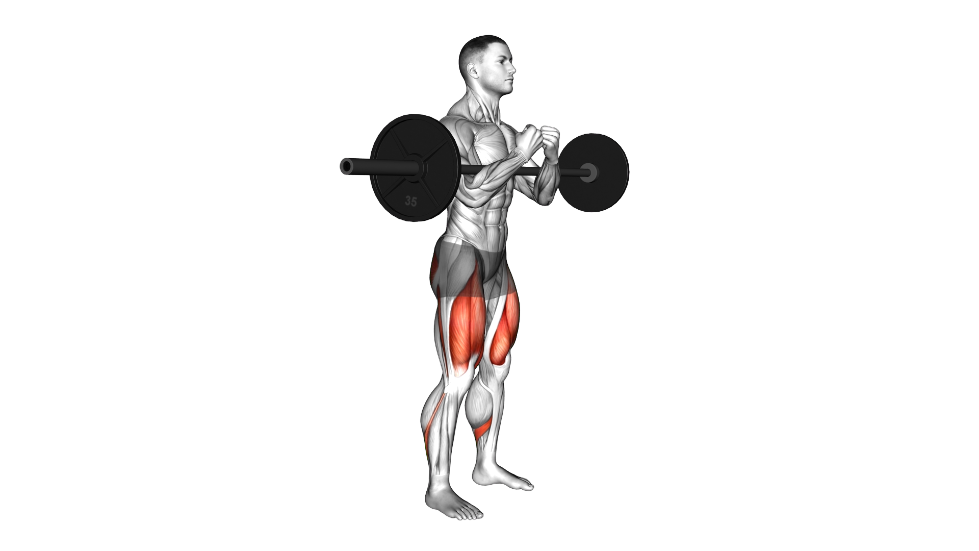 Barbell Zercher Squat Hold exercise demonstration