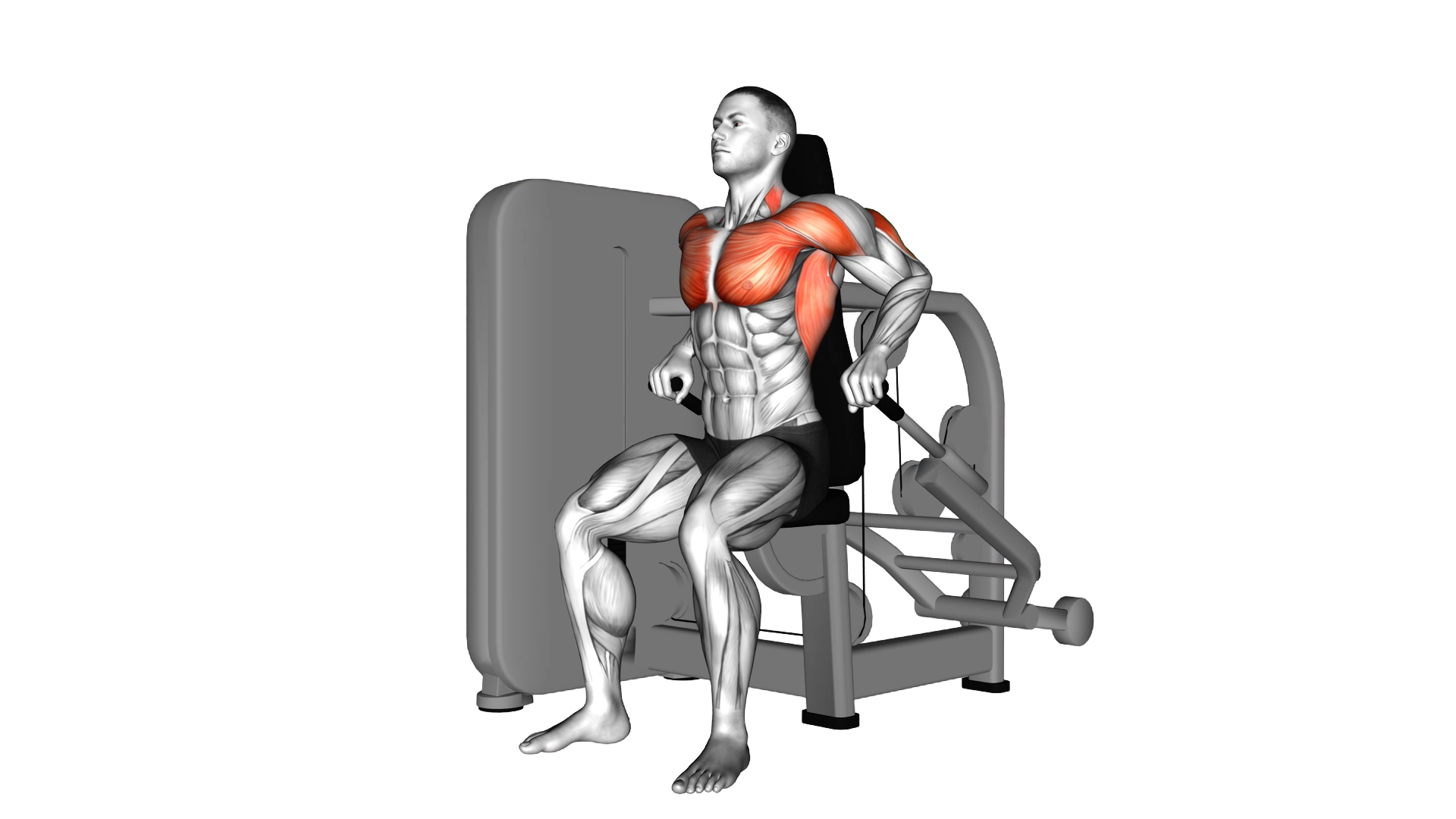 Lever Seated Dip exercise demonstration