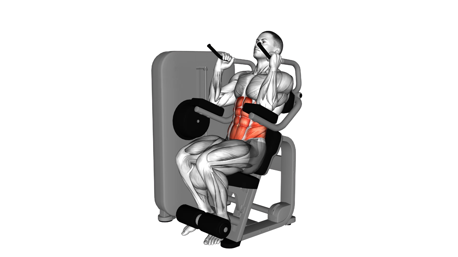 Lever Seated Crunch exercise demonstration