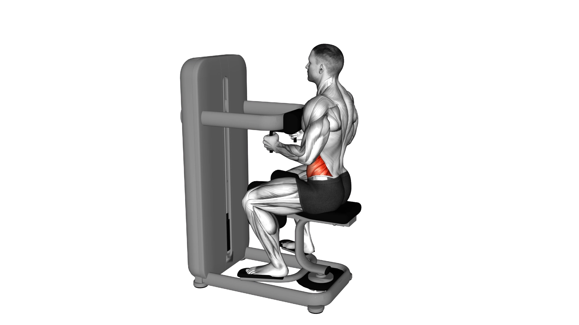 Lever Seated Twist exercise demonstration