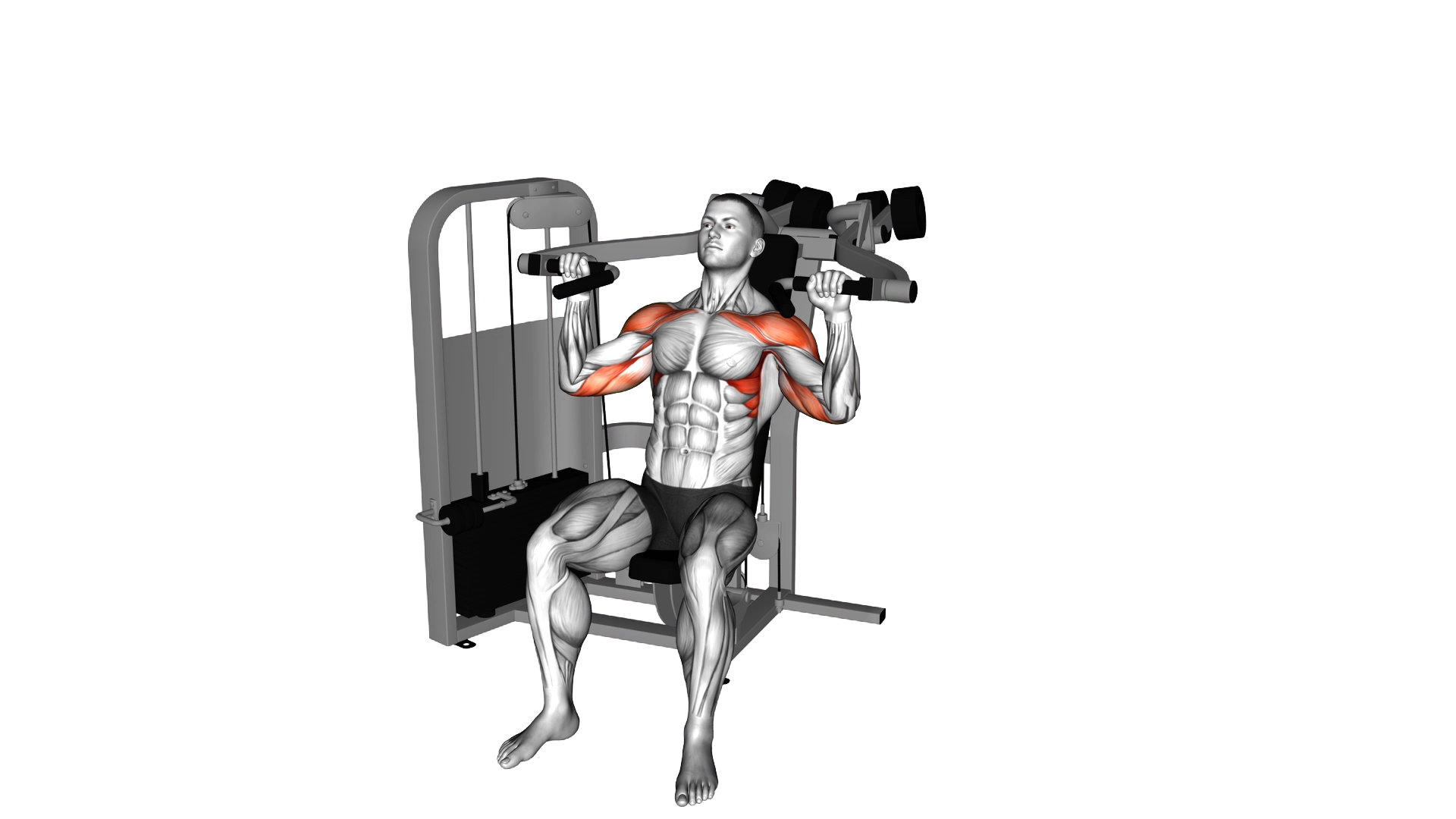 Lever Seated Shoulder Press exercise demonstration