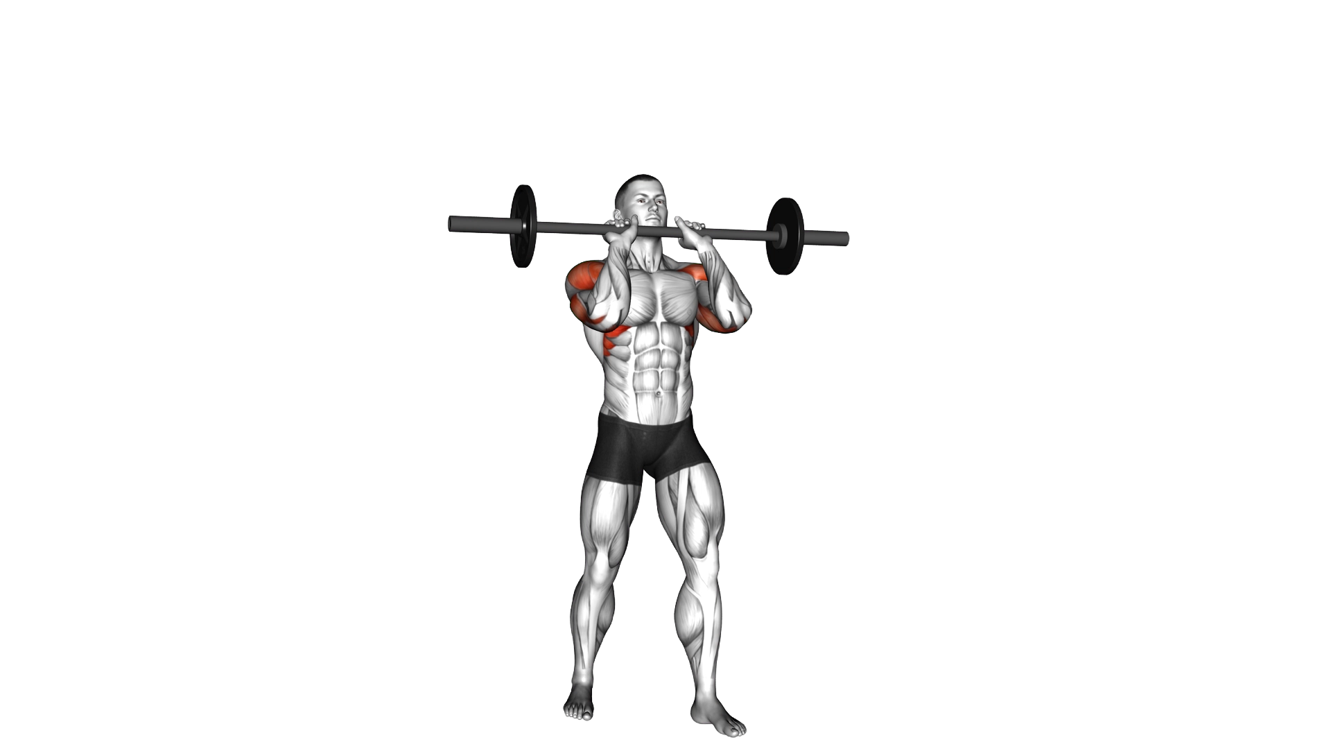 Barbell Standing Close Grip Military Press exercise thumbnail