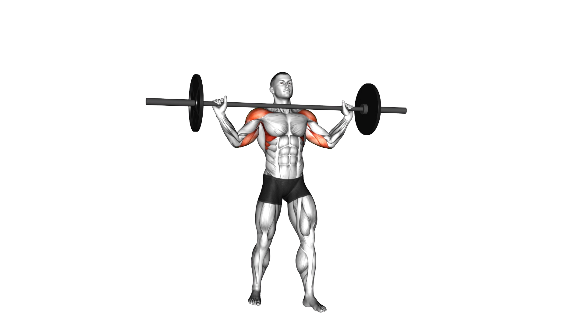 Barbell Standing Wide Military Press exercise demonstration