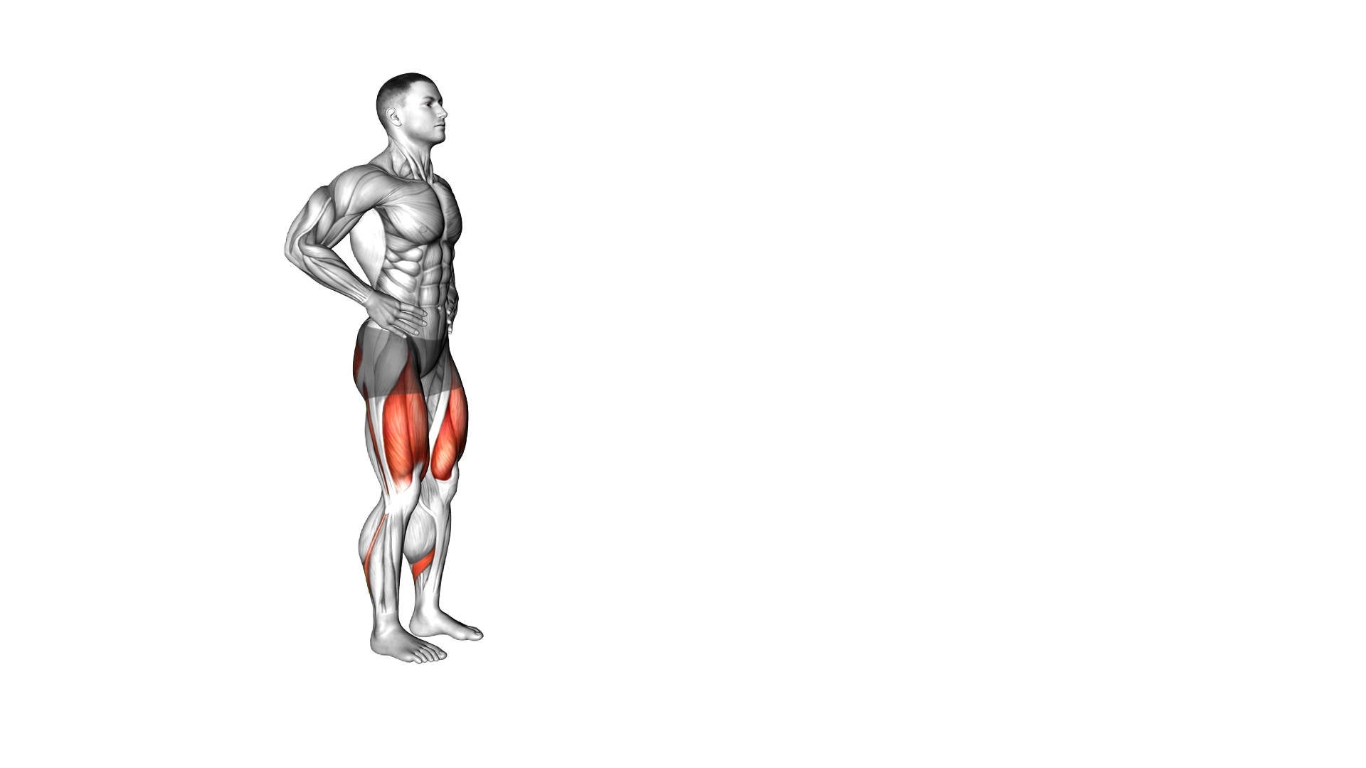 Walking Lunge Male exercise demonstration