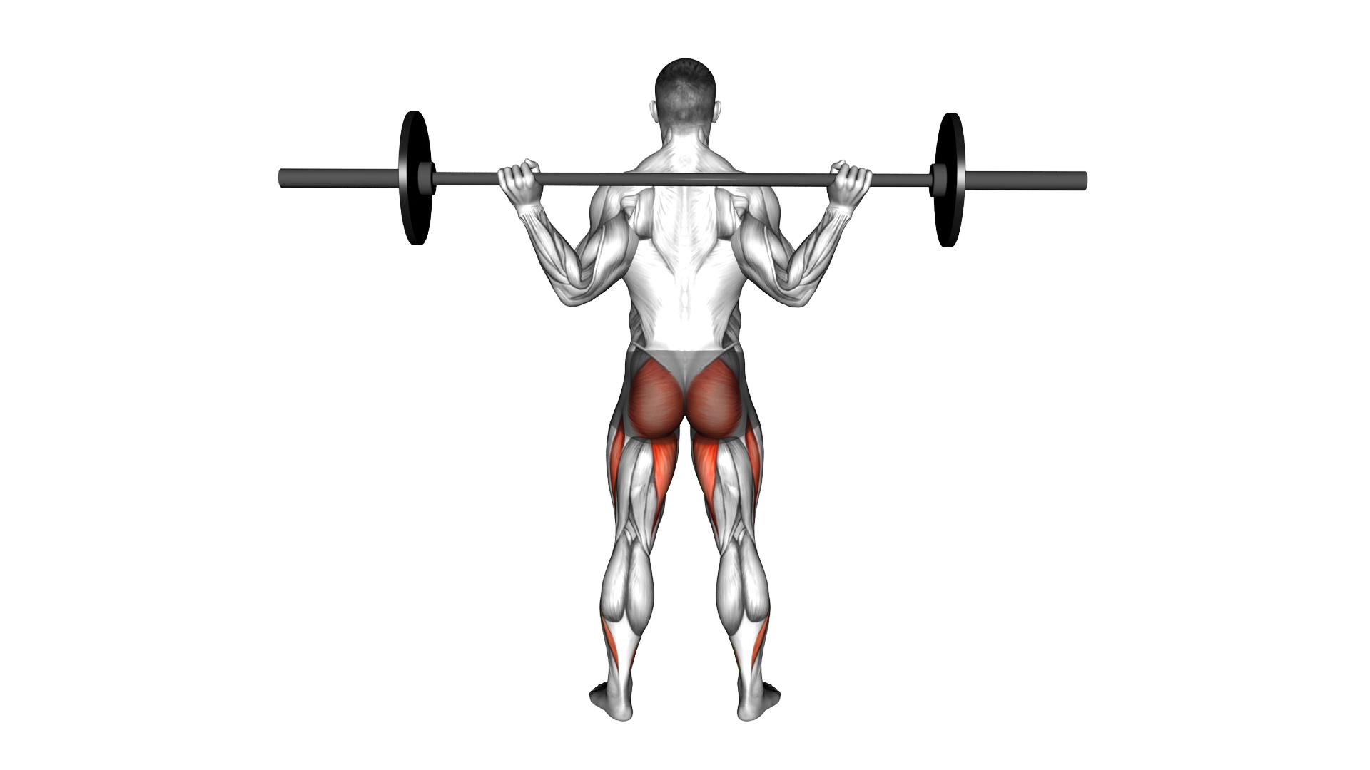 Barbell Full Squat exercise demonstration