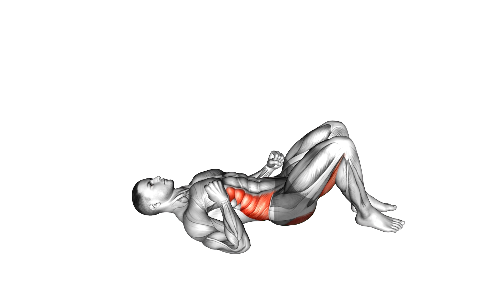 Twist Hip Lift exercise demonstration