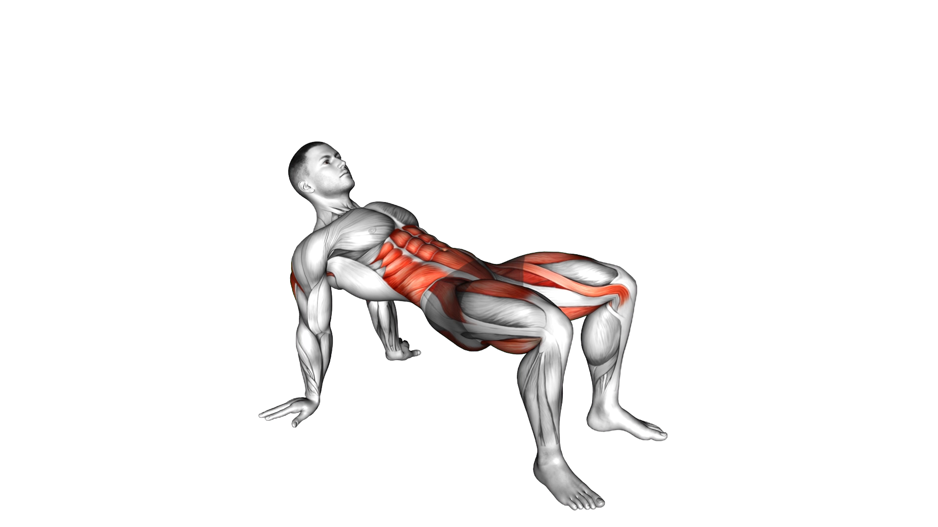 Crab Twist Toe Touch exercise demonstration