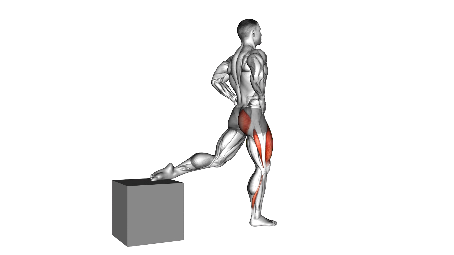One Leg Squat exercise demonstration