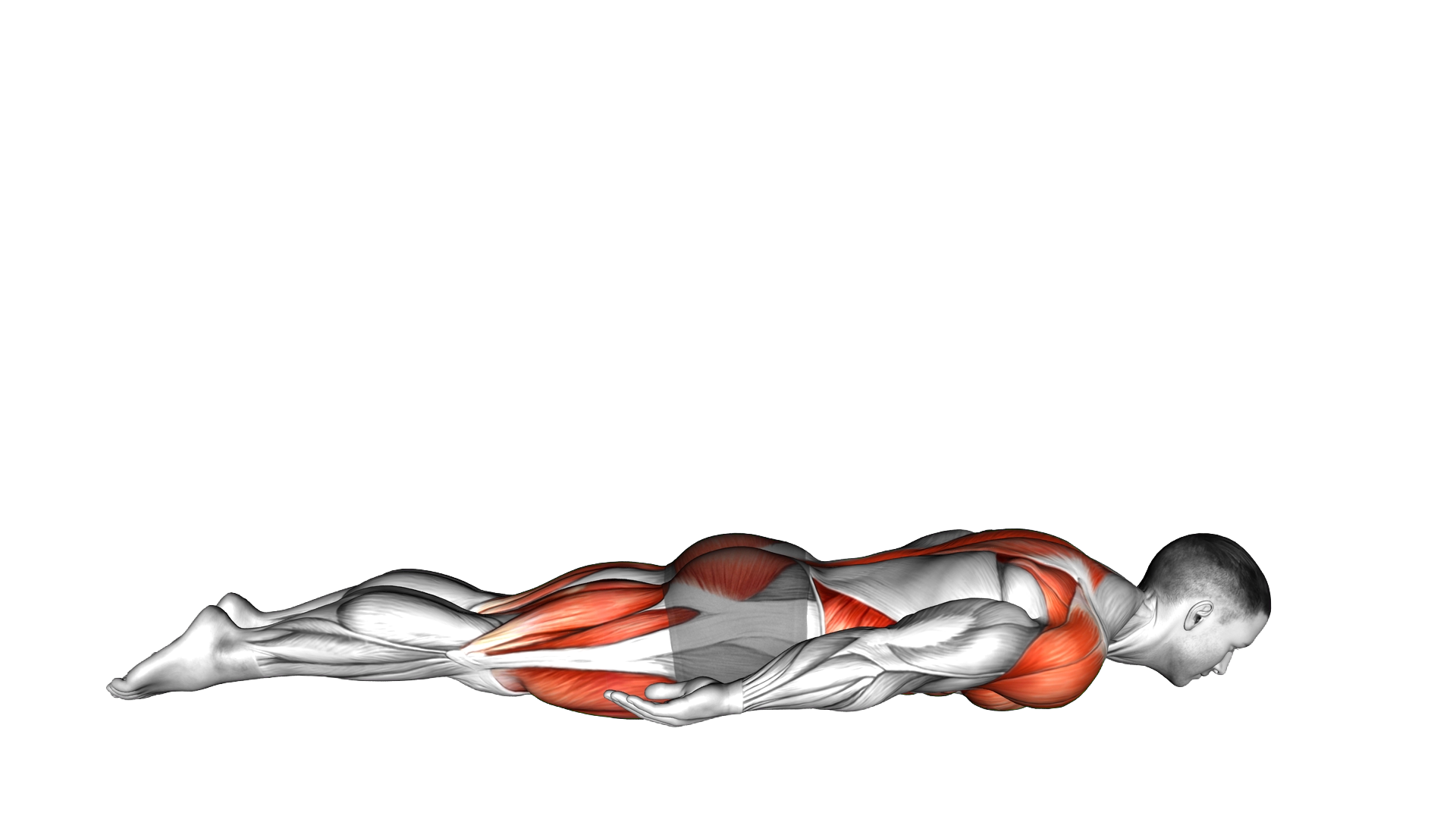 Bow Yoga Pose exercise demonstration