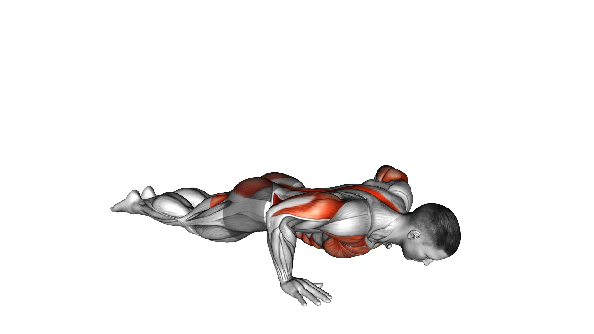 Cobra Yoga Pose exercise demonstration