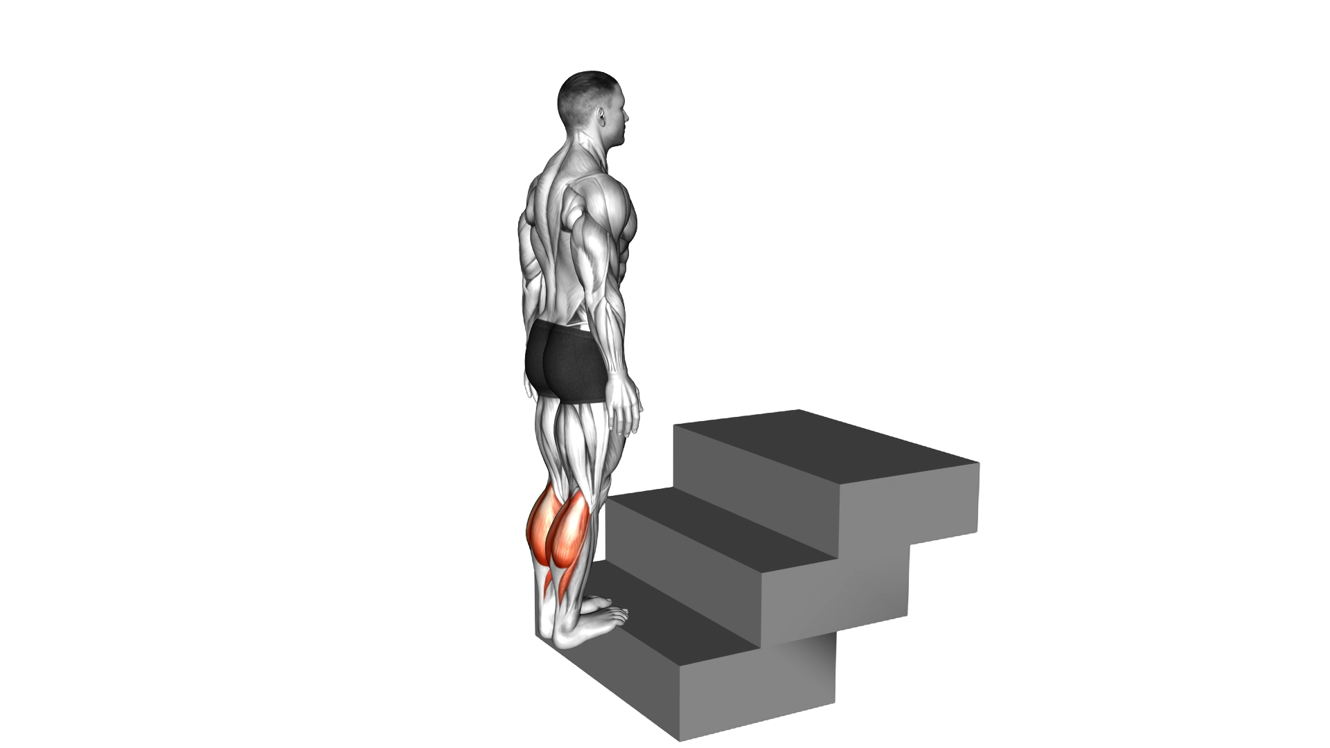 Standing Calf Raise (On a staircase) exercise thumbnail