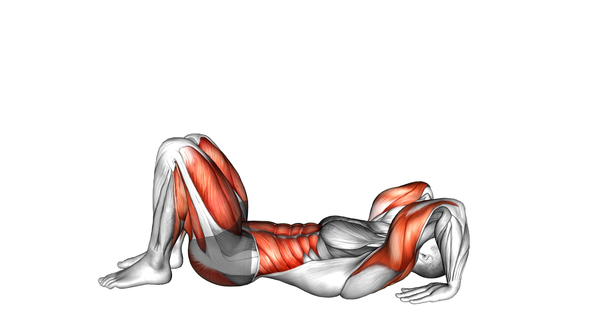 Wheel Pose Urdhva Dhanurasana exercise thumbnail