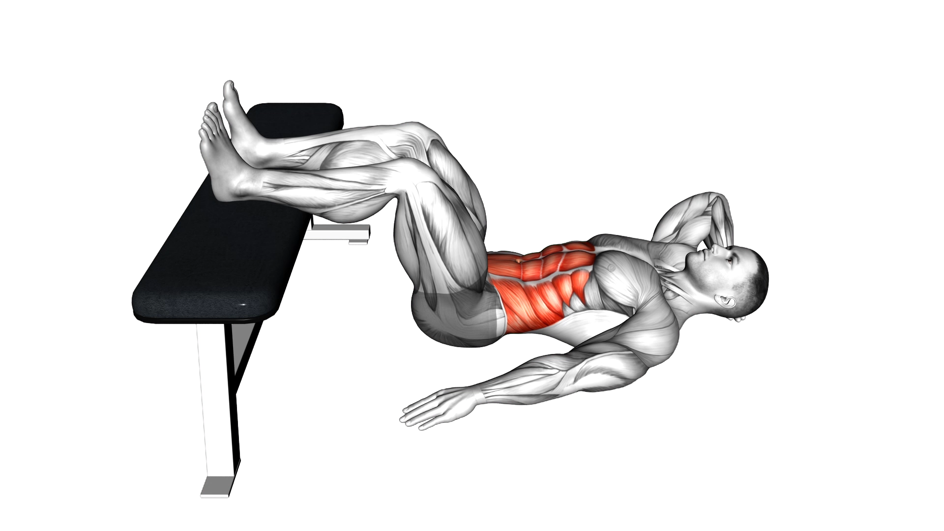 Oblique Crunch exercise demonstration