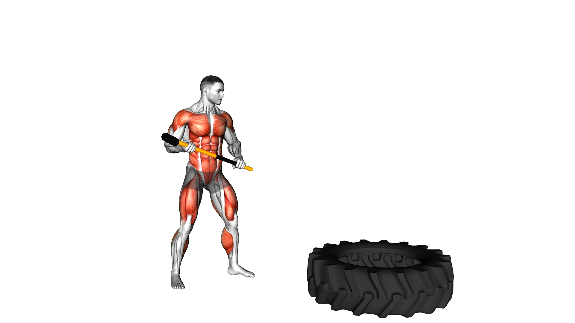 Sledgehammer Slam exercise demonstration