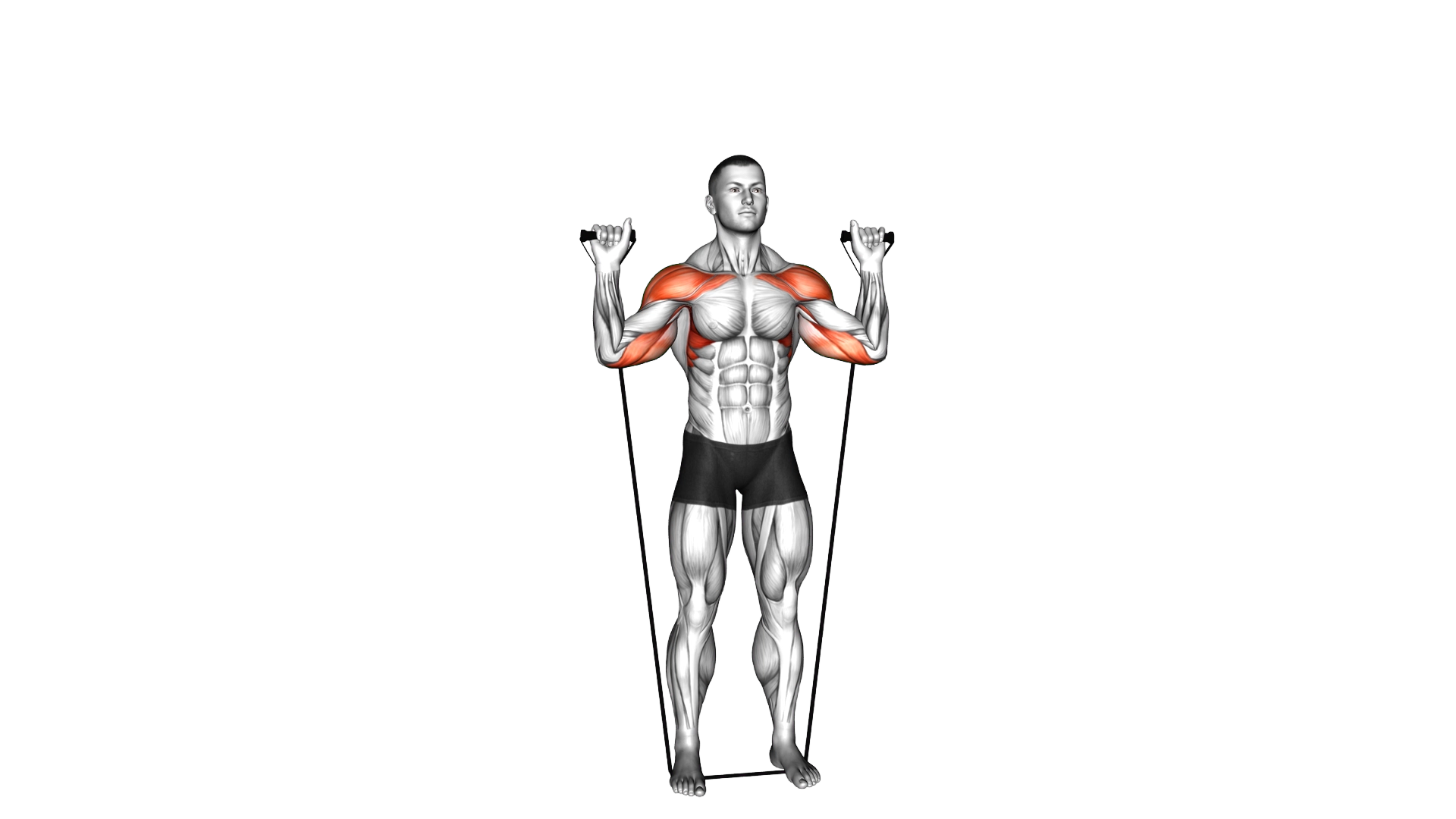 Band Behind Neck Shoulder Press exercise demonstration