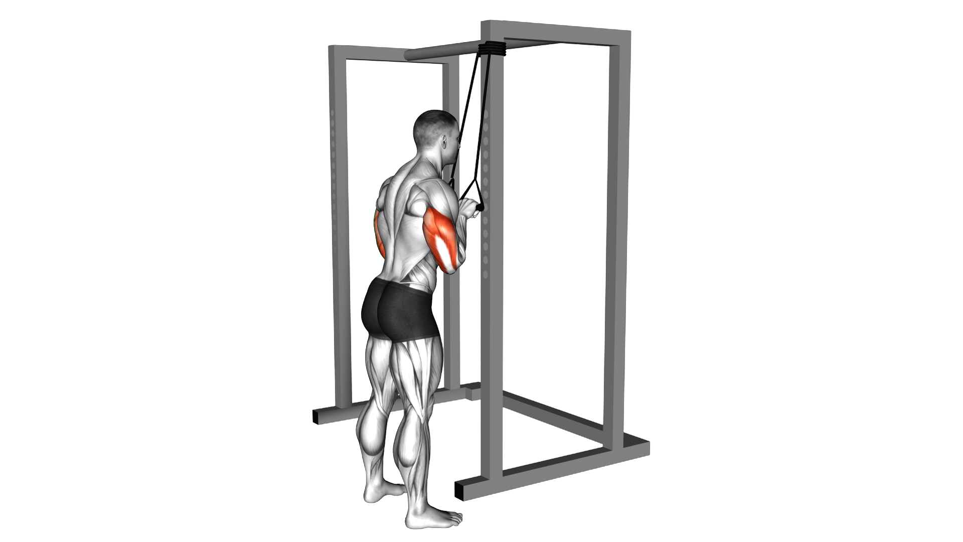 Band Pushdown exercise demonstration