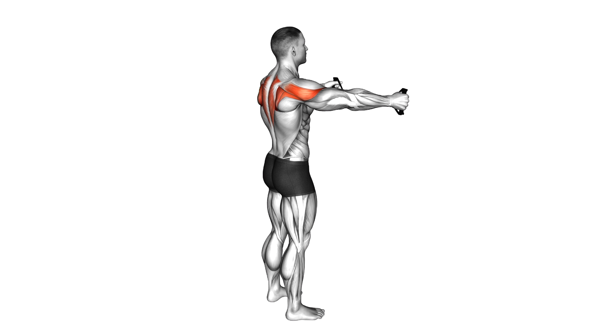 Band Pull Apart exercise demonstration