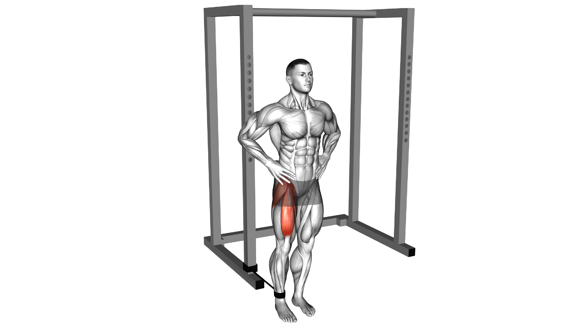 Band Hip Flexion exercise thumbnail