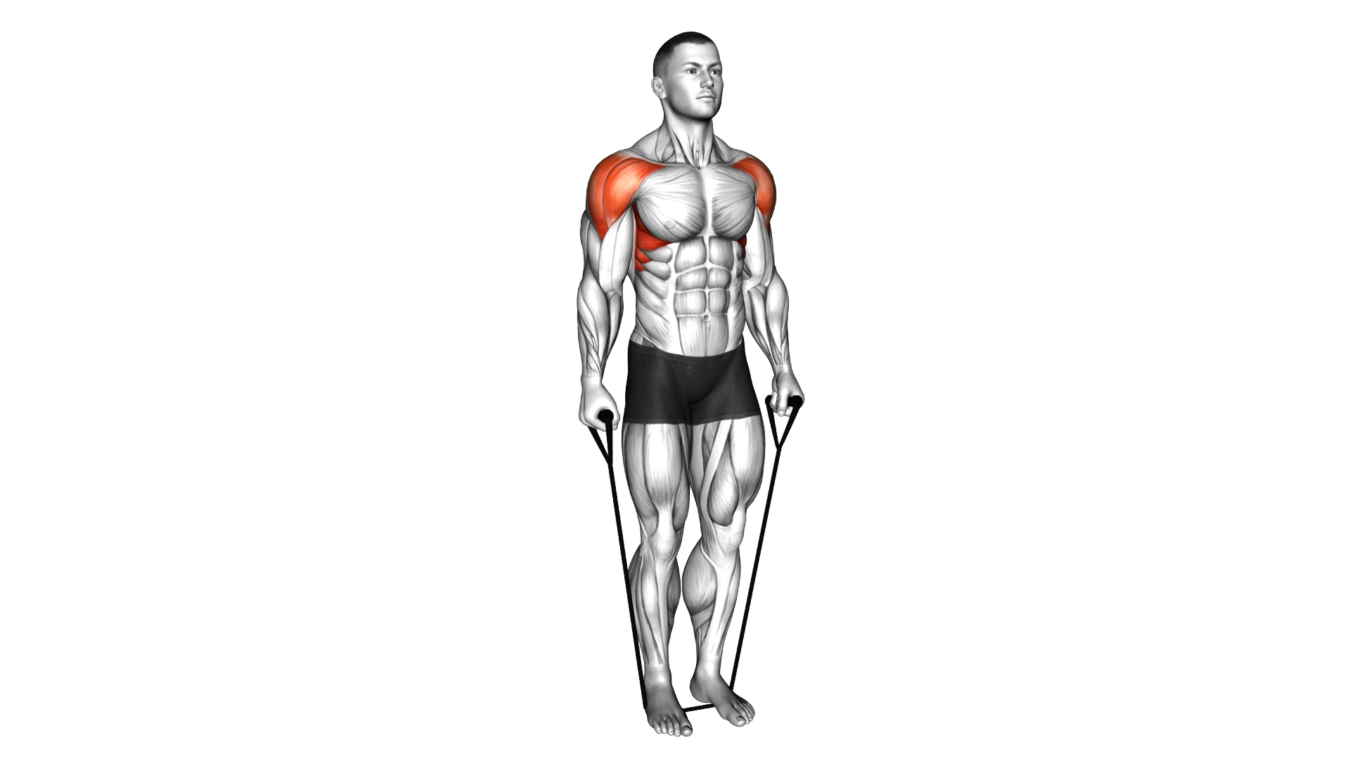 Band Lateral Raise exercise demonstration