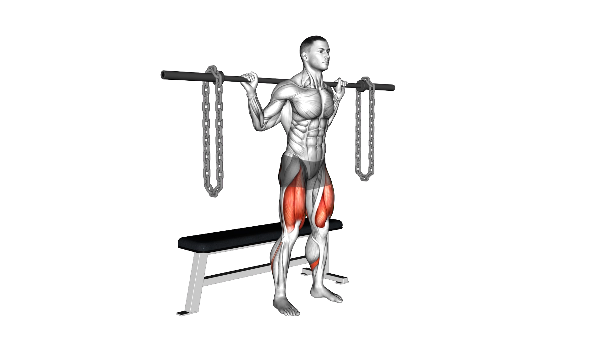 Barbell Weighted Chains Bench Squat exercise thumbnail