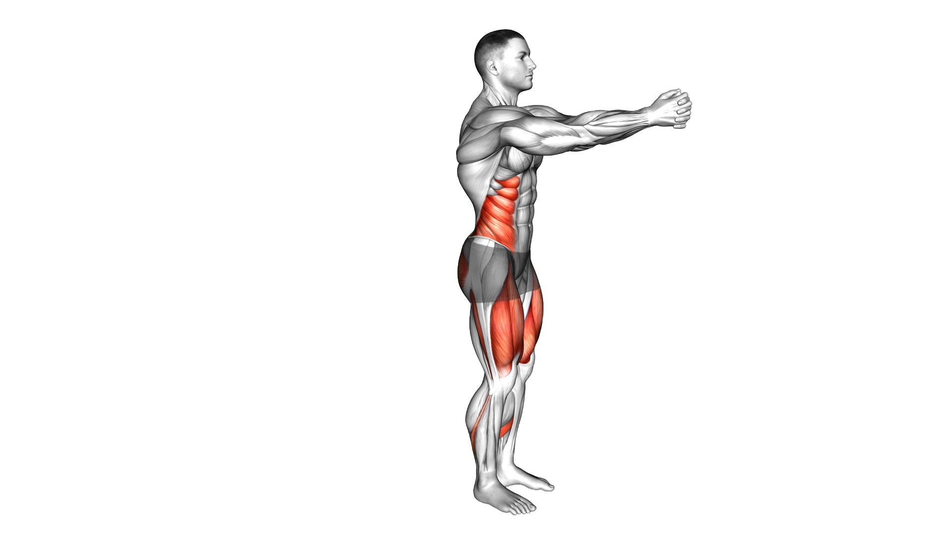 Crossover Reverse Lunge exercise demonstration
