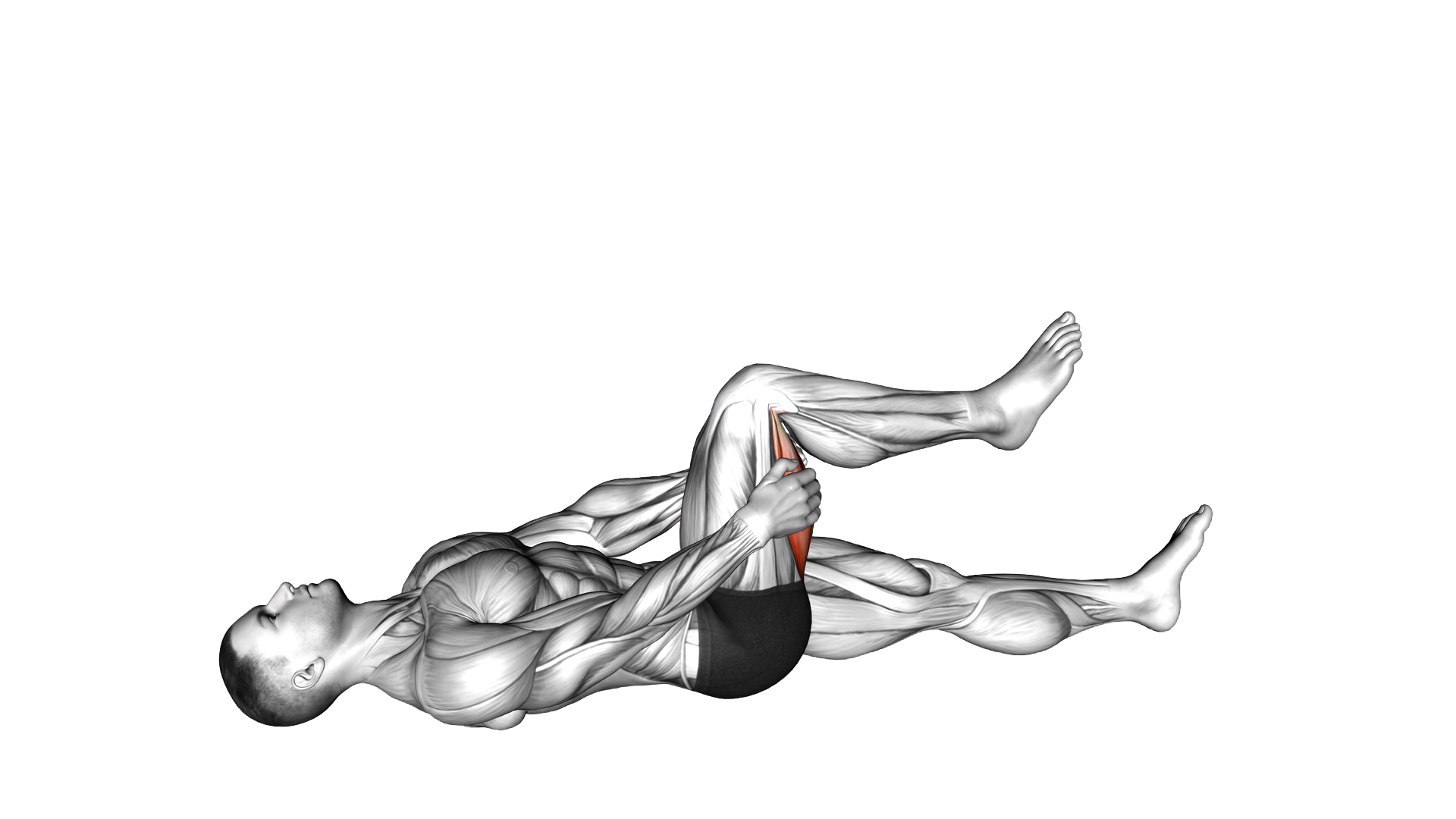 Hamstring Stretch exercise demonstration