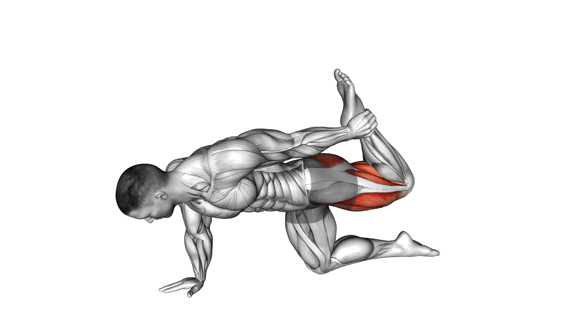 All Fours Squad Stretch exercise demonstration
