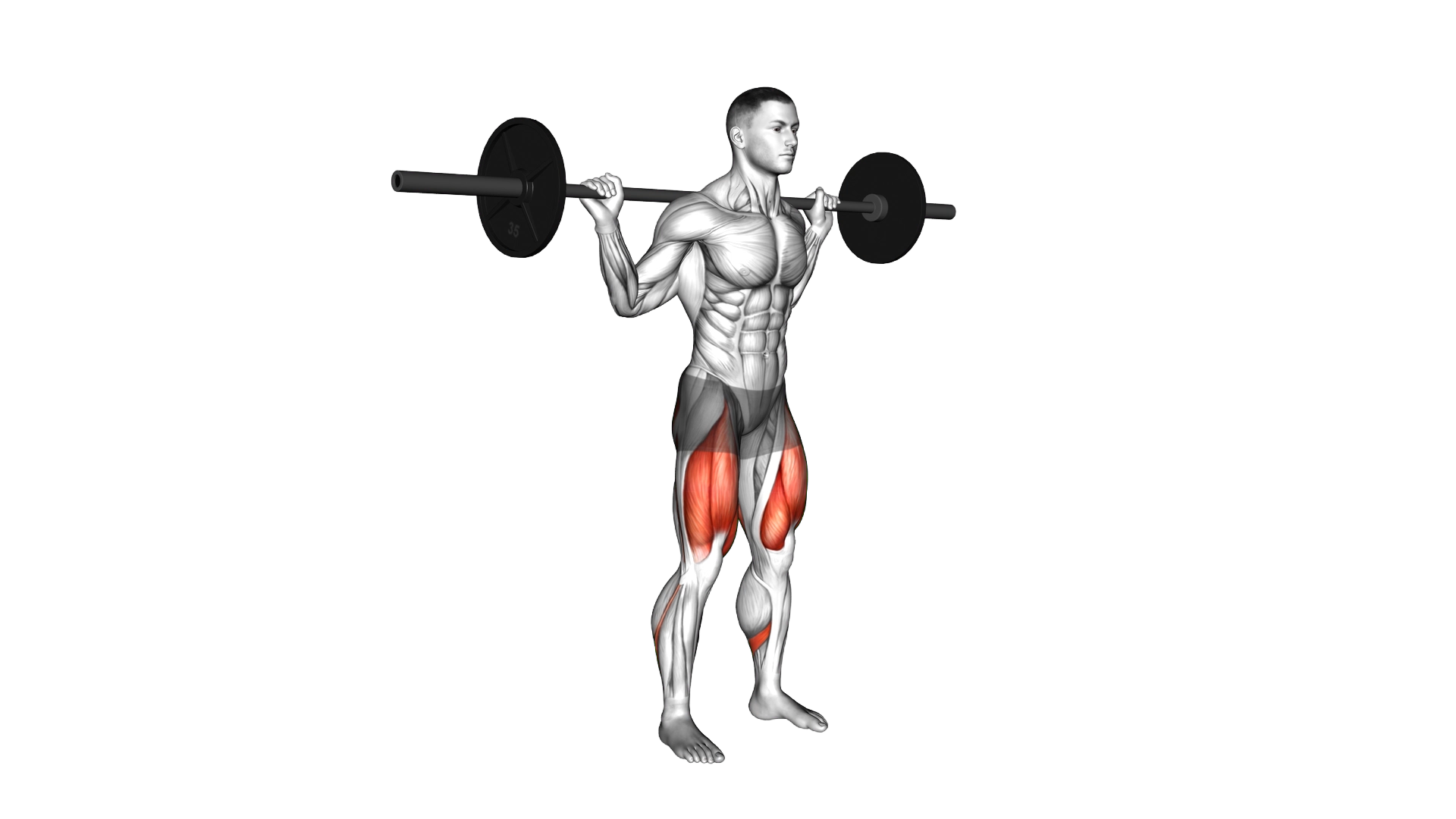 Barbell Quarter Squat exercise thumbnail