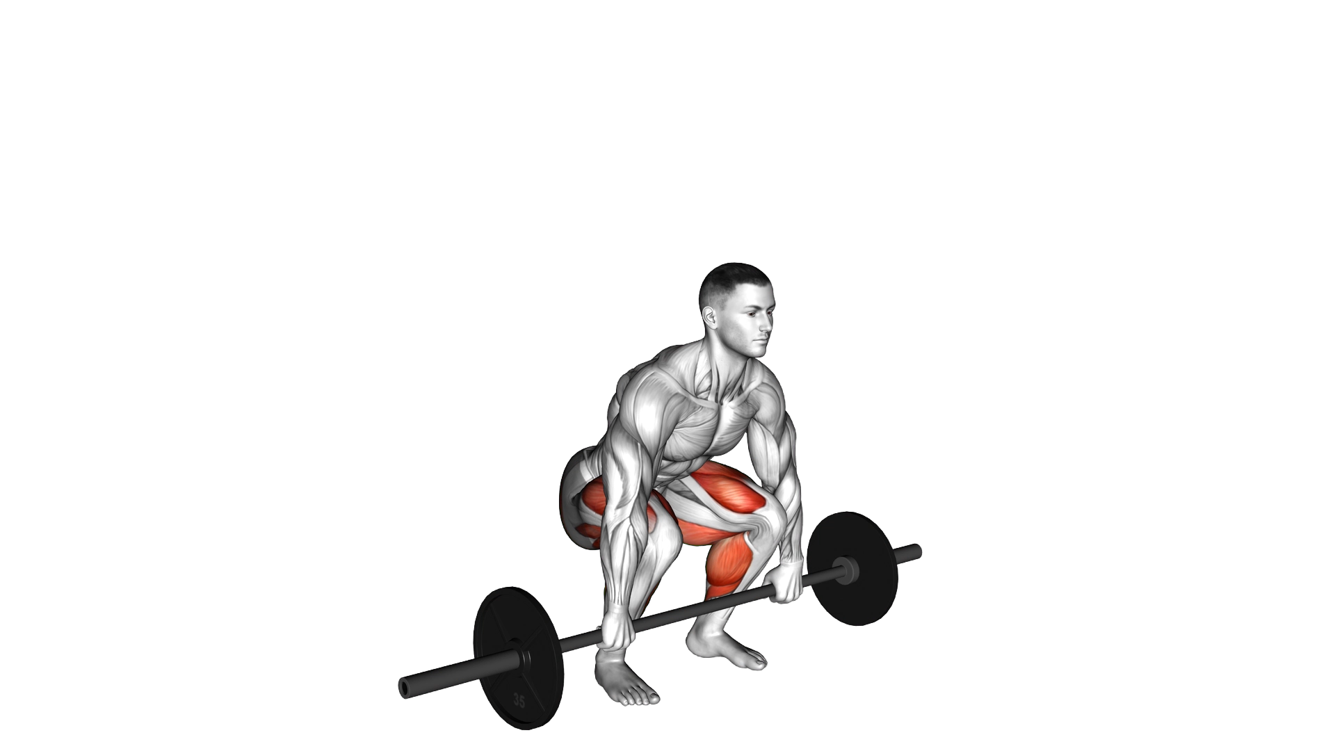 Barbell Clean Deadlift exercise demonstration
